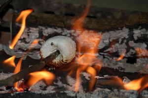 toasting-marshmallow.jpg