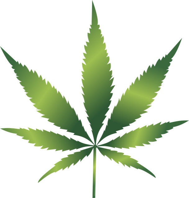 Massachusetts Laws on Adult Use of Marijuana